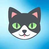 CAT Play - Tops Channel Videos