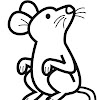 raton581