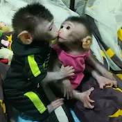 Monkey Chiro Family