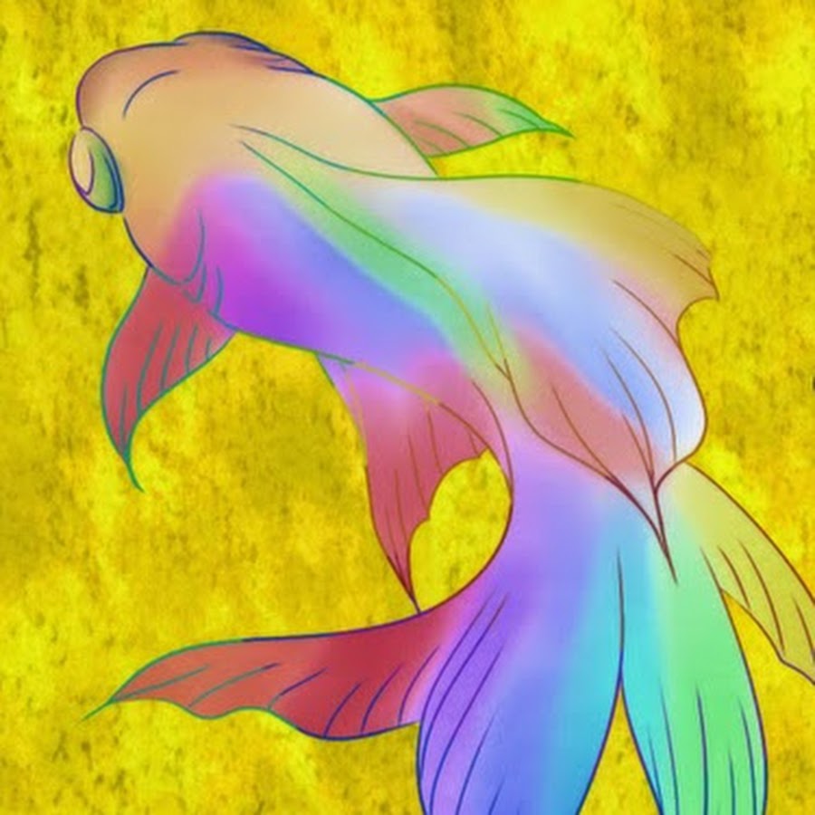 Rainbow TV 