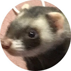 月人夢
