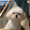 9 이수정