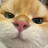 Avatar de @NomNom_2121