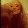 katiep