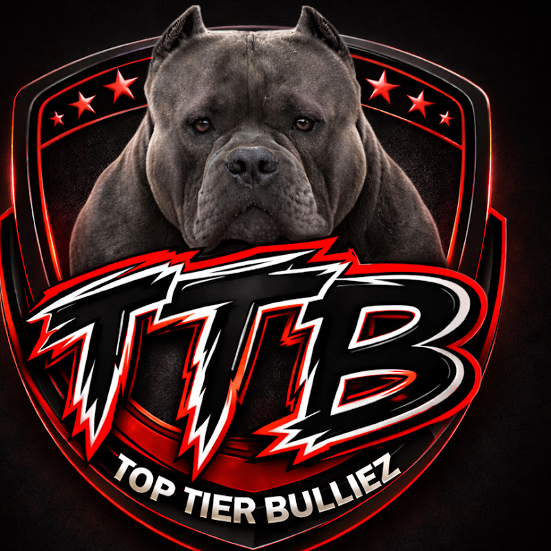 Toptierbulliez 