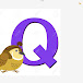 Q 507