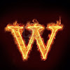 wallody