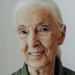 Institut Jane Goodall France