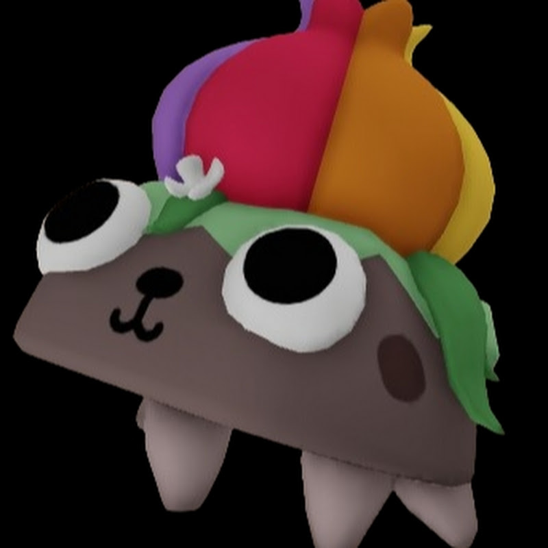 Rudy gamer