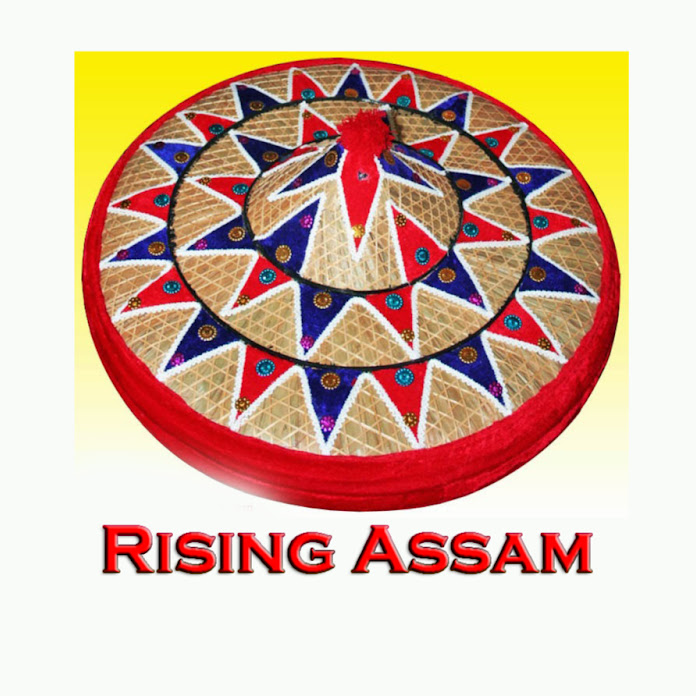 Rising Assam Net Worth & Earnings (2024)