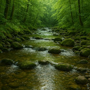 zenForest