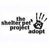 TheShelterPetProject