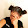stargirlwonders