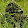 WarBoy 1389