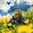 _3u5lxhHFnA-channel-avatar-SenditWithShan