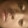 Lilsavigekinge77 lilsavigeking7