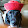 Sir Quest Giver