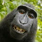 Epic Laughs