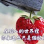 心靈舒果