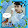 Ankit Ankit
