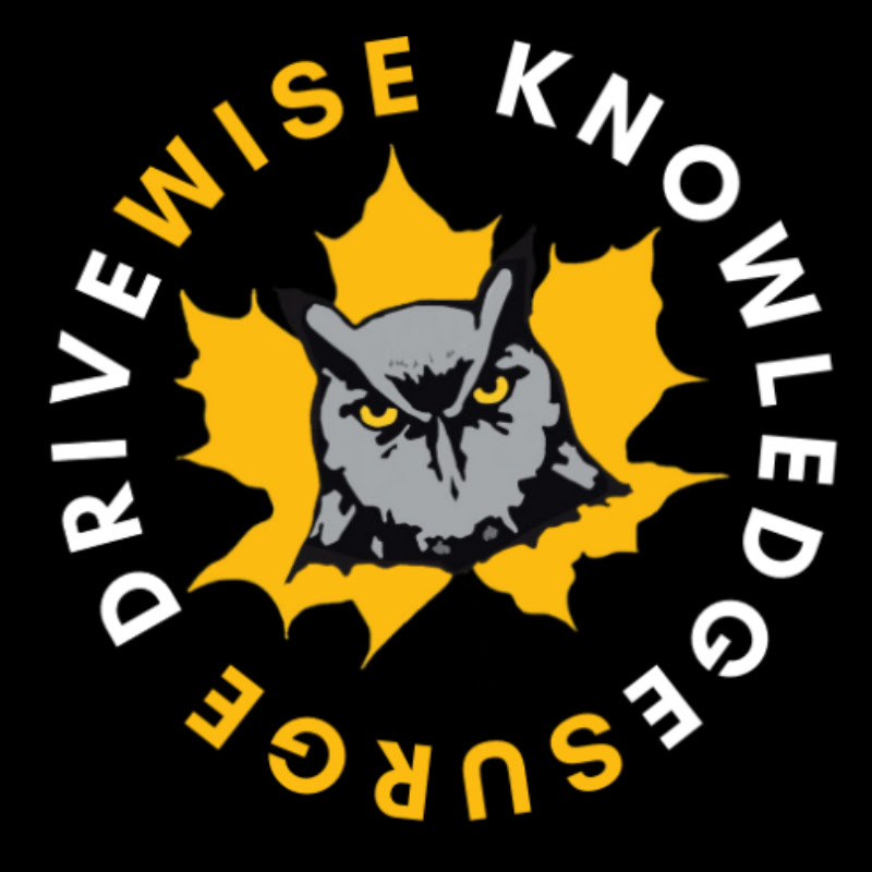 DriveWise