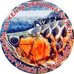 KENTA AROWANA CHアイコン画像