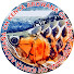 ccZhgXUlg08-channel-avatar-KENTA AROWANA CH