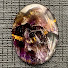 NeXp39J6q6Y-channel-avatar-Gemmaker