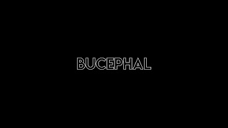 Заставка Ютуб-канала «Bucephal»
