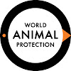 World Animal Protection Australia