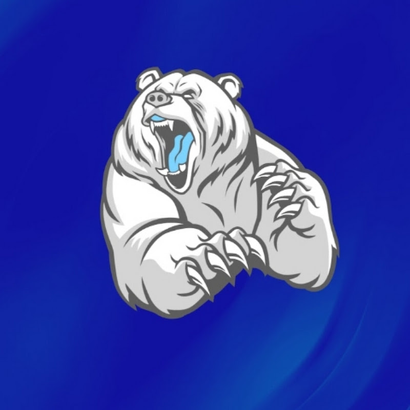 bear798