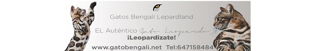 Lepardland Bengal. Criadero Oficial Gato Bengali ইউটিউব চ্যানেল অ্যাভাটার