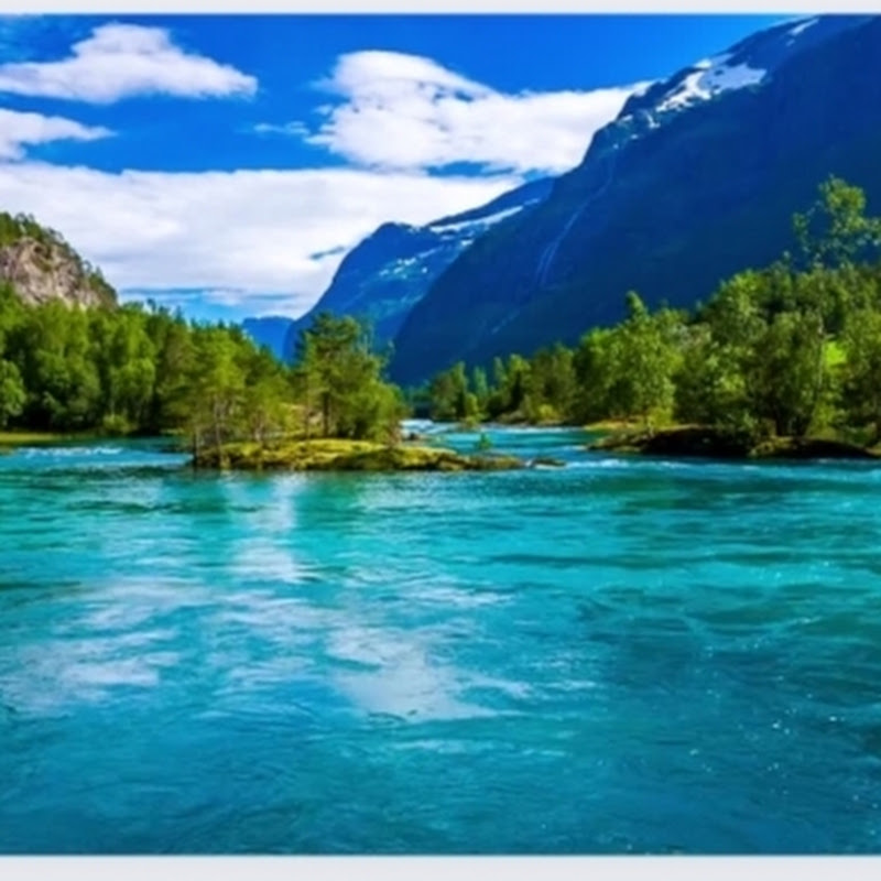 Travel & Events profile avatar