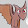 DreamDragon 7