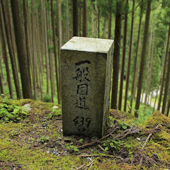 酷の細道【酷道・険道 vlog】