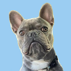 JAX