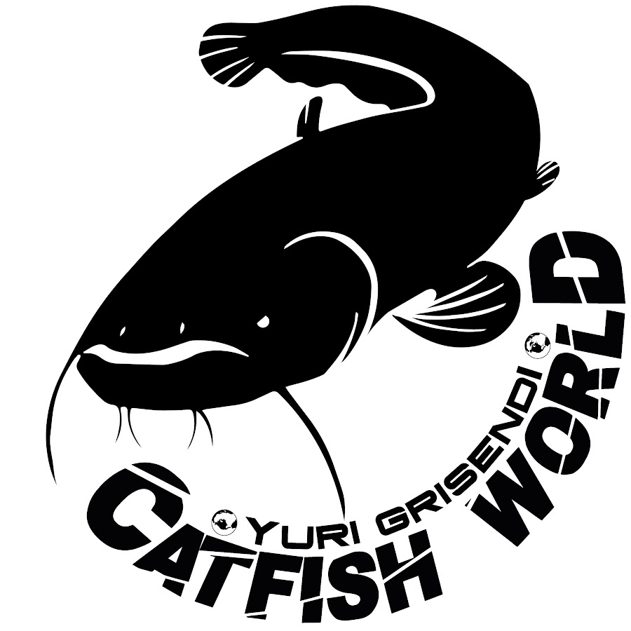 Catfish World by Yuri Grisendi - YouTube