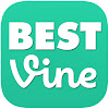 What could BEST VINE buy with $4.34 million?
