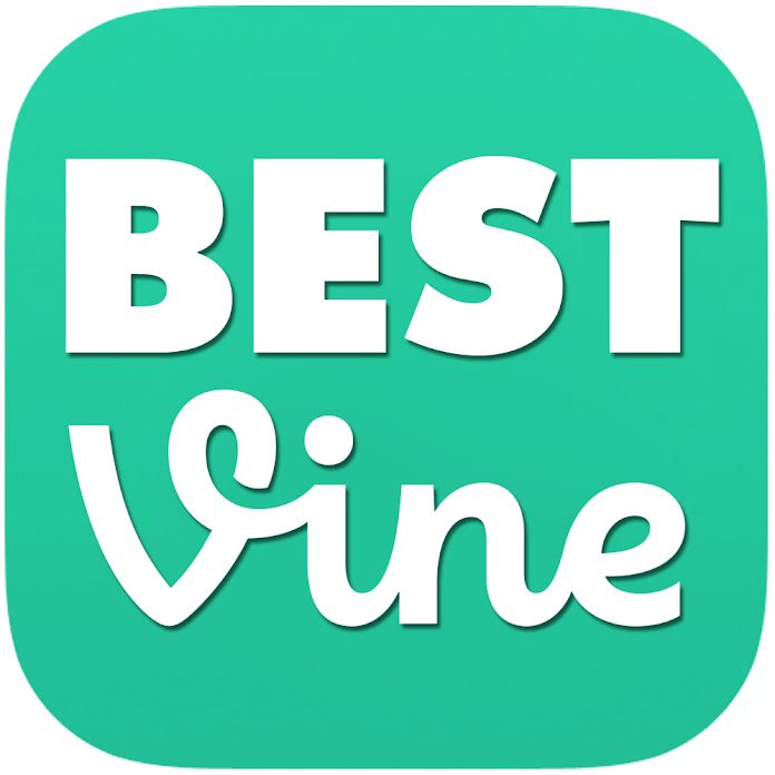 BEST VINE Net Worth & Earnings (2026)