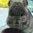 Bunnyworld Tinky