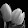 Tulip Kirrukal