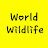 @Wildlife1-t8q