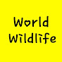 World Wildlife