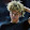 Lamelo Ball