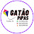 @gataopipasrj1926