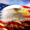 FreedomForceUSA
