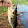 Florida state fishing