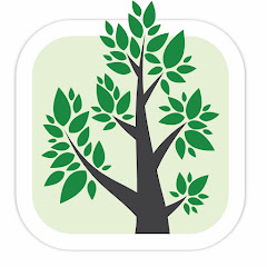 Branches