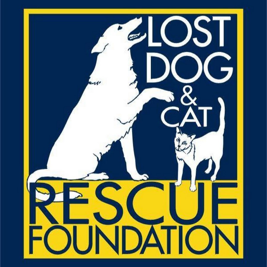 Lost Dog and Cat Rescue Foundation YouTube