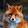 Foxy The Pirate Fox